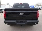 Thumbnail of 2025 Black Metallic Ford F-150