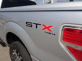 Thumbnail of 2013 Ingot Silver Ford F-150