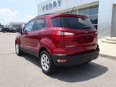 Thumbnail of 2020 Ruby Red Ford EcoSport