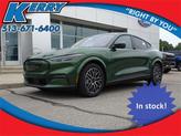 Photo of 2025 Green Metallic Ford Mustang Mach-E
