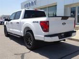 Thumbnail of 2025 Oxford White Ford F-150
