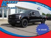 Photo of 2025 Agate Black Metallic Ford F-150