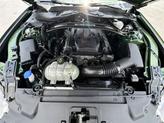 Thumbnail of 2022 Green Ford Mustang