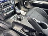Thumbnail of 2022 Green Ford Mustang