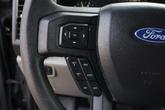 Thumbnail of 2019 Magnetic Ford F-150