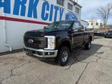 Photo of 2025 Agate Black Ford F-250