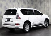 Thumbnail of 2017 Starfire Pearl Lexus GX 460
