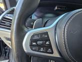 Thumbnail of 2019 Arctic Gray Metallic BMW X7