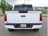 Thumbnail of 2025 Oxford White Ford F-150