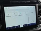 Thumbnail of 2023 Avalanche Gray Ford F-150