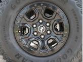 Thumbnail of 2024 Cactus Gray Ford Bronco