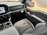 Thumbnail of 2025 Rapid Red Metallic Tinted Clearcoat Ford F-150