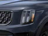 Thumbnail of 2025 Panthera Metal Kia Telluride