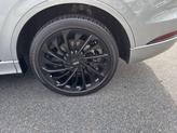 Thumbnail of 2023 Radiance Lincoln Aviator