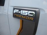 Thumbnail of 2023 Avalanche Ford F-150