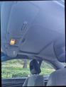 Thumbnail of 2004 Gray Honda Civic