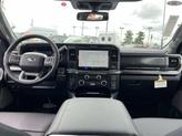 Thumbnail of 2025 Glacier Gray Metallic Tri-Coat Ford F-250