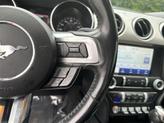 Thumbnail of 2022 Race Red Ford Mustang