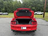 Thumbnail of 2022 Race Red Ford Mustang