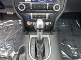 Thumbnail of 2022 Race Red Ford Mustang