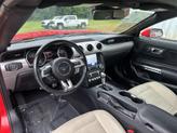 Thumbnail of 2022 Race Red Ford Mustang