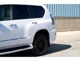 Thumbnail of 2018 White Lexus GX 460