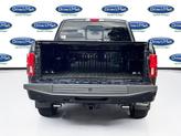 Thumbnail of 2019 Agate Black Metallic Ford F-150