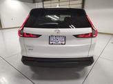 Thumbnail of 2026 Platinum White Pearl Honda CR-V