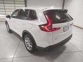 Thumbnail of 2026 Platinum White Pearl Honda CR-V