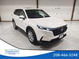 Photo of 2026 Platinum White Pearl Honda CR-V