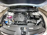 Thumbnail of 2023 Snow White Pearl Kia Sportage