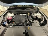 Thumbnail of 2025 Glacial White Pearl Kia Sorento