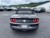 Thumbnail of 2015 Magnetic Metallic Ford Mustang