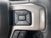 Thumbnail of 2016 Magnetic Ford F-150