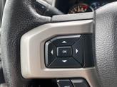 Thumbnail of 2016 Magnetic Ford F-150