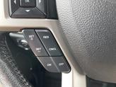 Thumbnail of 2016 Magnetic Ford F-150