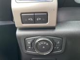 Thumbnail of 2016 Magnetic Ford F-150