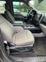 Thumbnail of 2016 Lithium Gray Ford F-150