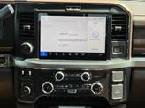 Thumbnail of 2025 White Ford F-250