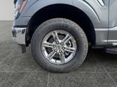 Thumbnail of 2025 Gray Ford F-150