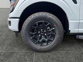 Thumbnail of 2025 White Ford F-150