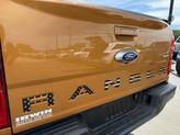 Thumbnail of 2019 Gold Ford Ranger