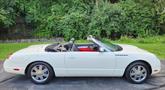 Thumbnail of 2002 White Ford Thunderbird