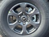 Thumbnail of 2025 Velocity Blue Ford Bronco