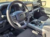Thumbnail of 2025 Carbonized Gray Ford F-150