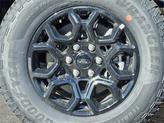 Thumbnail of 2025 Carbonized Gray Ford F-150