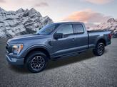 Thumbnail of 2022 Gray Metallic Ford F-150