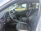 Thumbnail of 2022 Oxford White Ford Escape