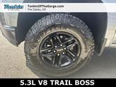 Thumbnail of 2019 Satin Steel Metallic Chevrolet Silverado 1500