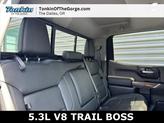 Thumbnail of 2019 Satin Steel Metallic Chevrolet Silverado 1500